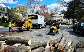 Best Storm Damage Tree Cleanup  in Lemoore Station, CA
