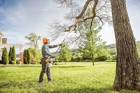 Best Lawn Maintenance Plans  in Lemoore Station, CA